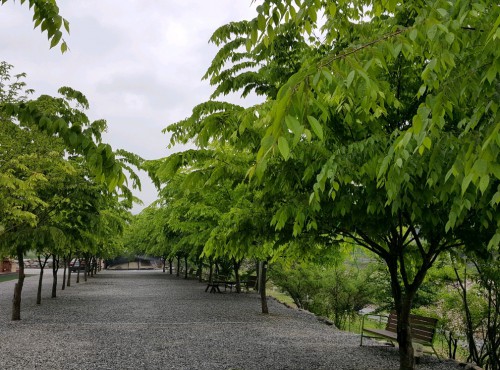 호호 캠핑장