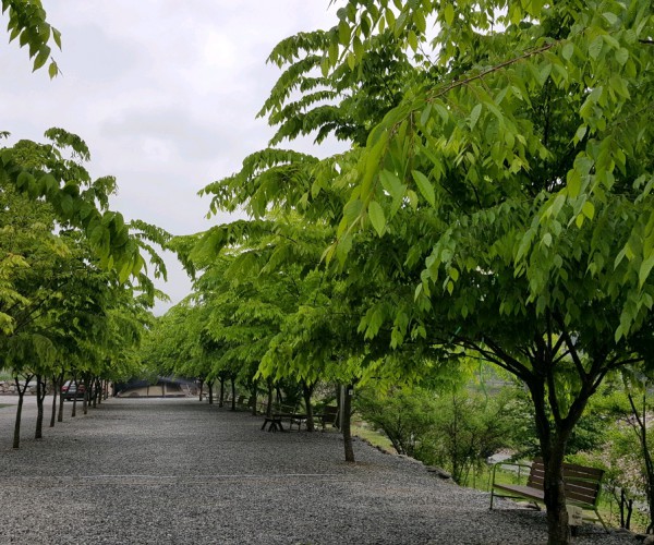 호호 캠핑장