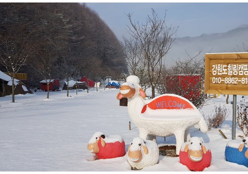 강원도 힐링캠핑장