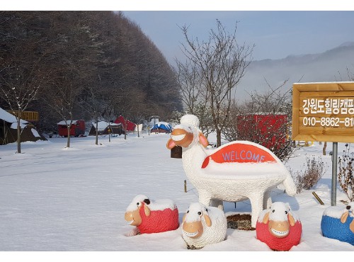 강원도 힐링캠핑장